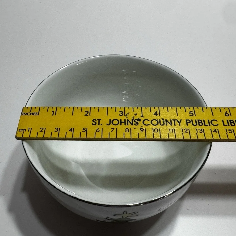 Studio JCPenny Bowls Jingle Santa's Christmas Bowls Set of 2 Dashing Throw Snow